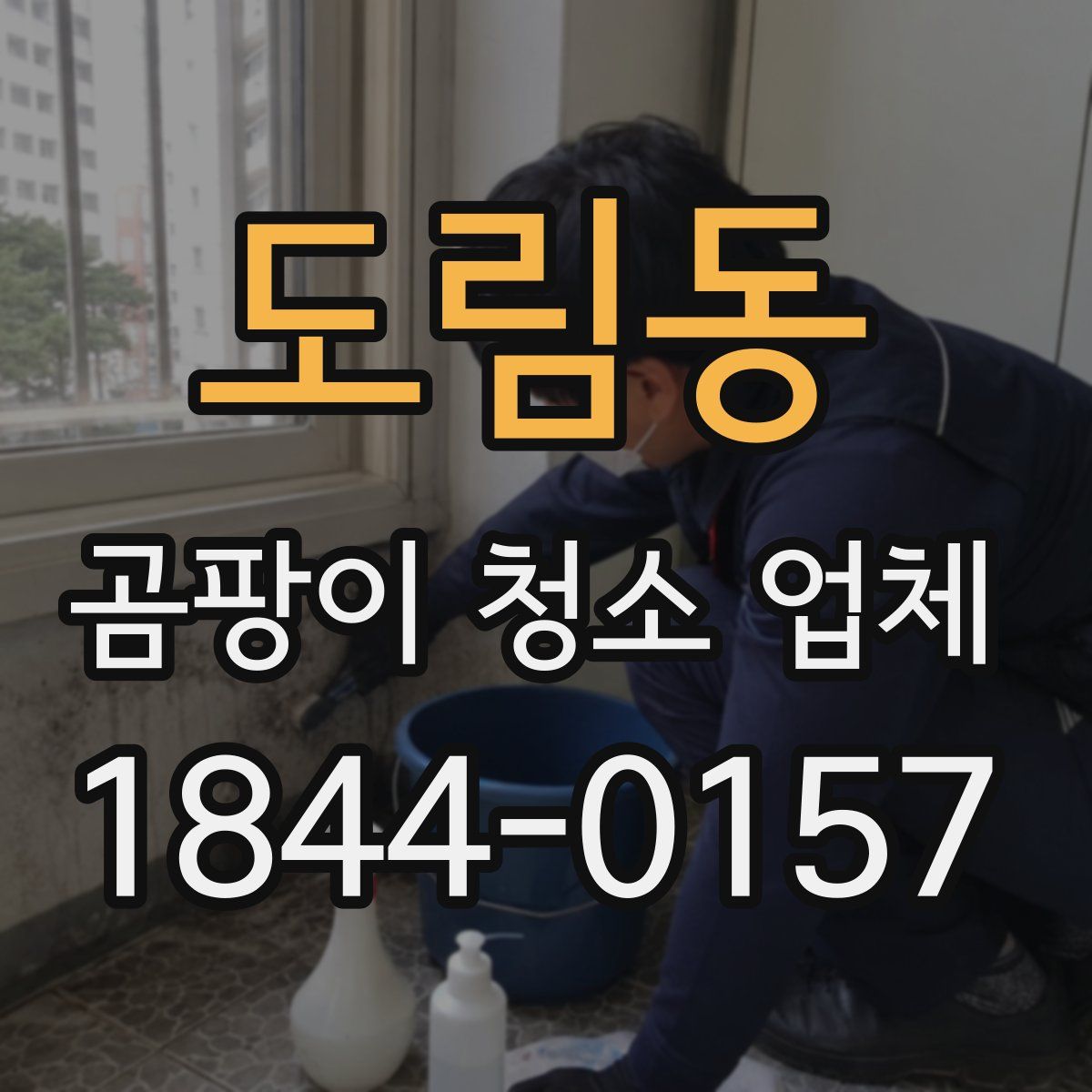 도림동 곰팡이 청소 업체