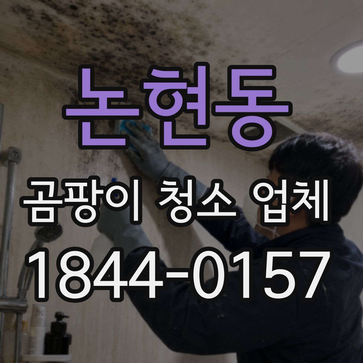 논현동 곰팡이 청소 업체