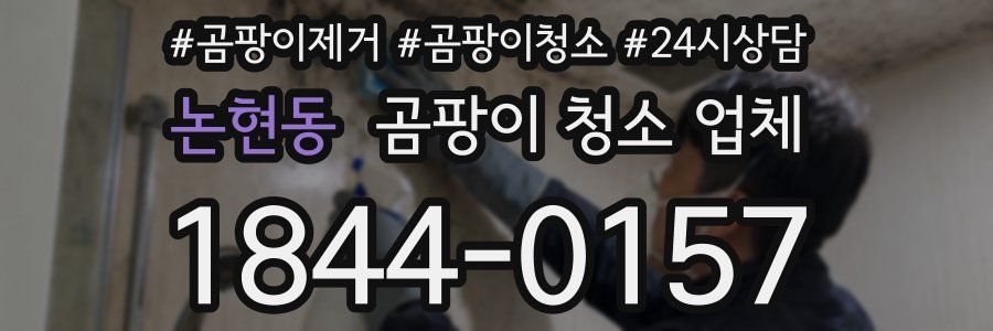 논현동 곰팡이 청소 업체