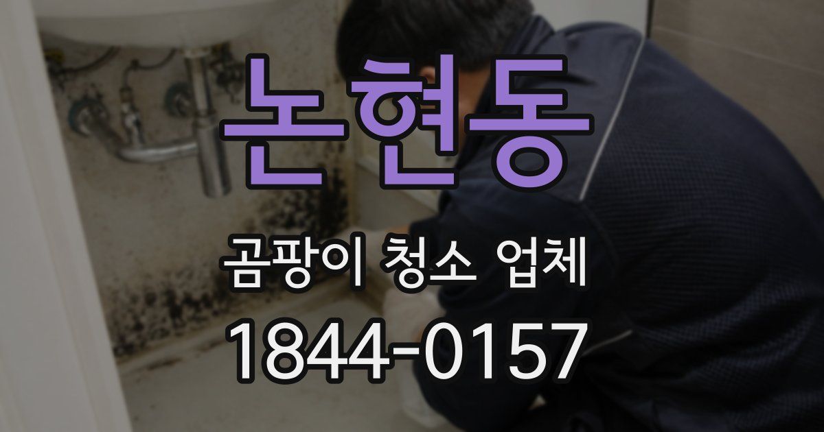 논현동 곰팡이 청소 업체