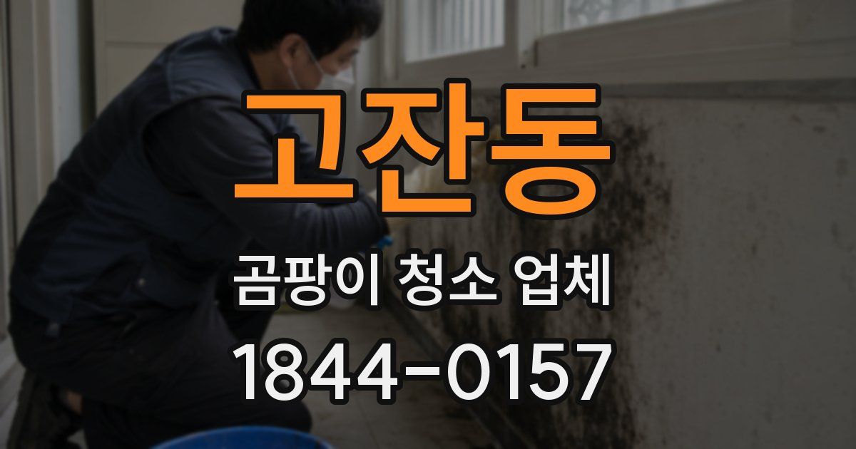 고잔동 곰팡이 청소 업체