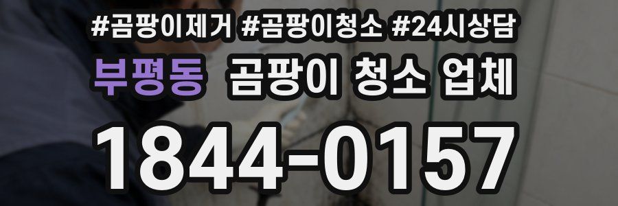 부평동 곰팡이 청소 업체
