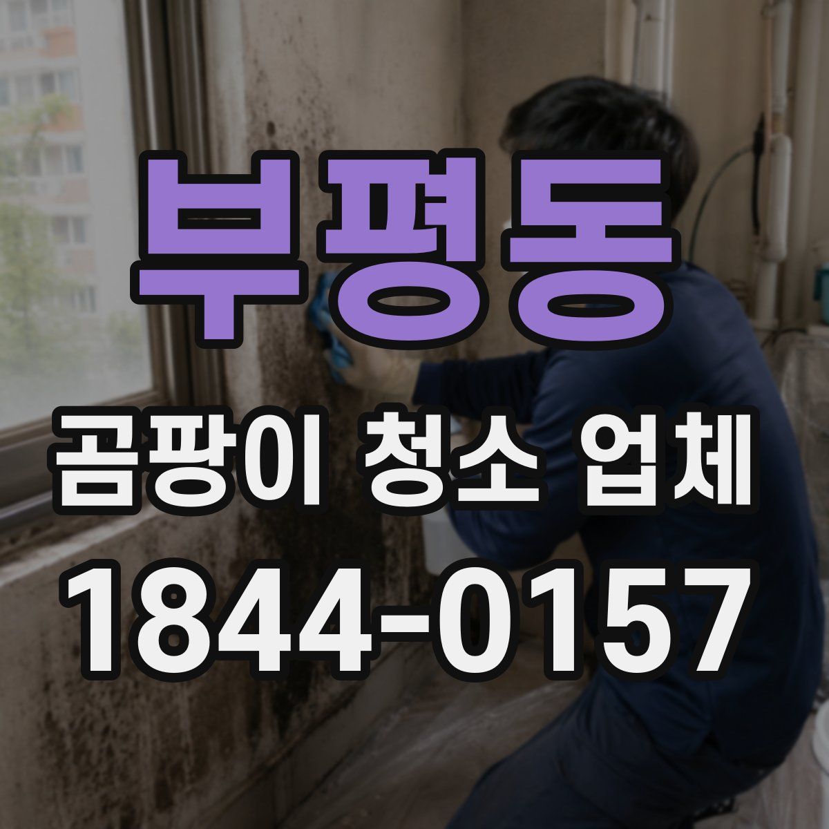 부평동 곰팡이 청소 업체