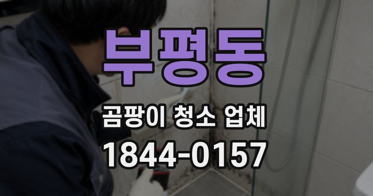 부평동 곰팡이 청소 업체