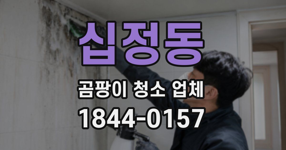 십정동 곰팡이 청소 업체