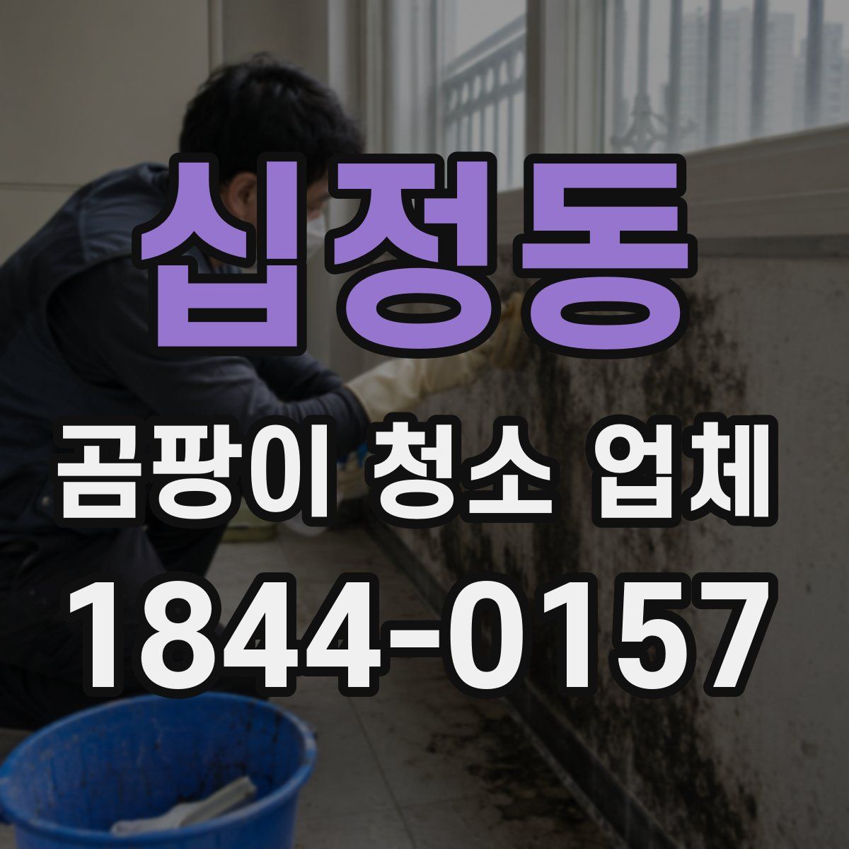십정동 곰팡이 청소 업체