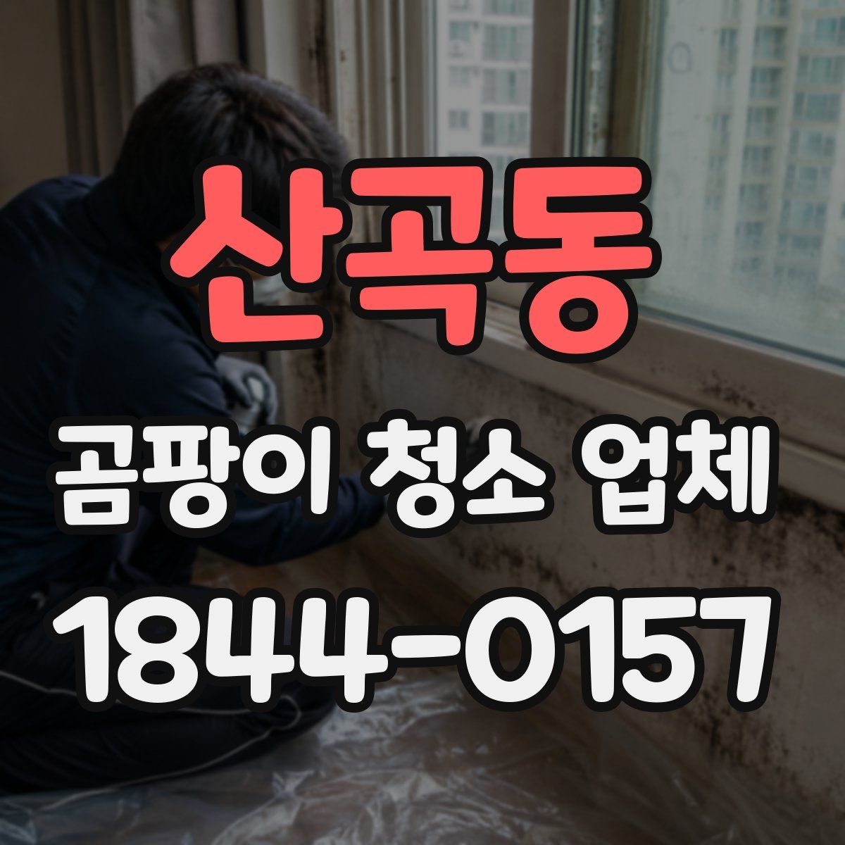 산곡동 곰팡이 청소 업체