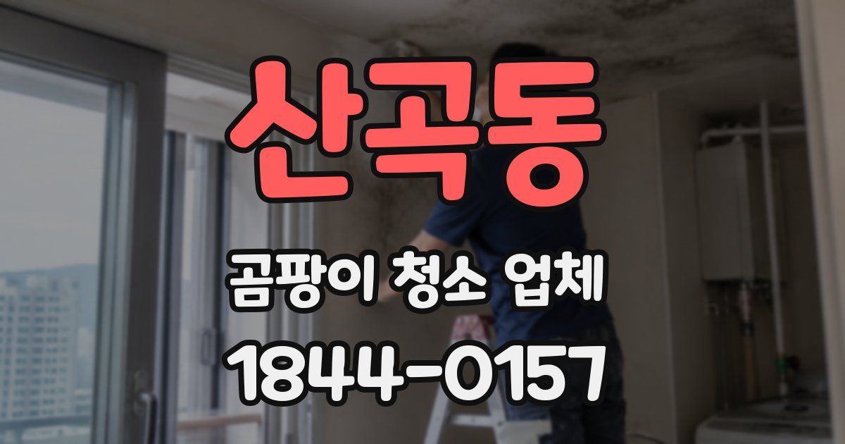 산곡동 곰팡이 청소 업체