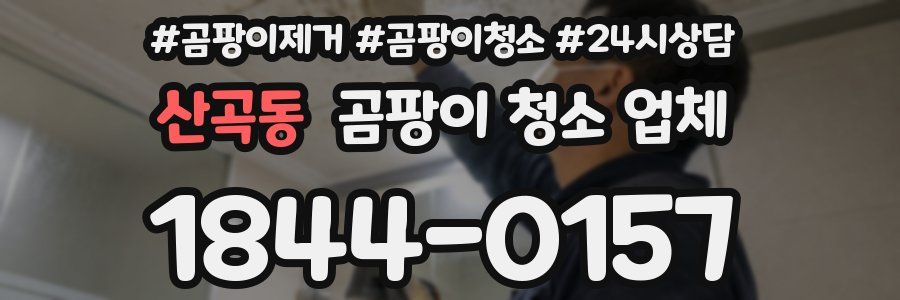 산곡동 곰팡이 청소 업체