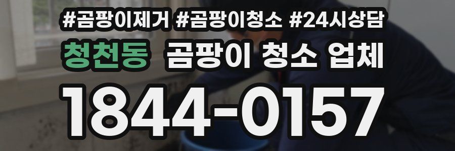청천동 곰팡이 청소 업체