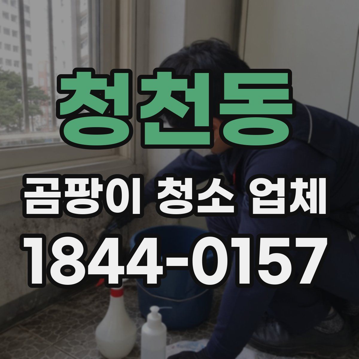 청천동 곰팡이 청소 업체