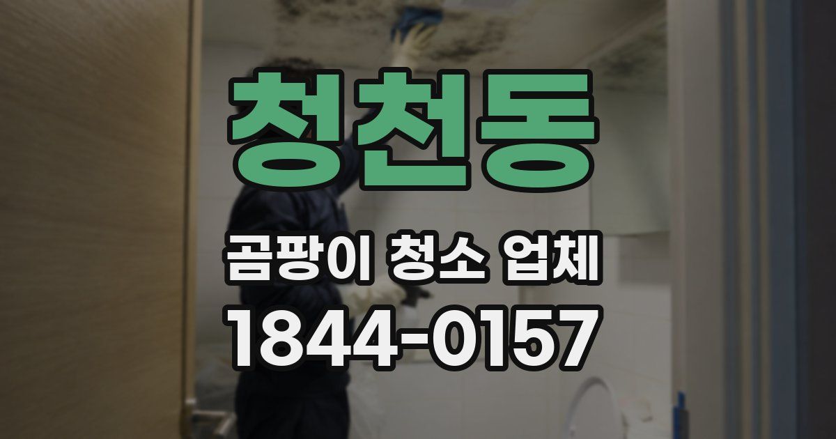 청천동 곰팡이 청소 업체