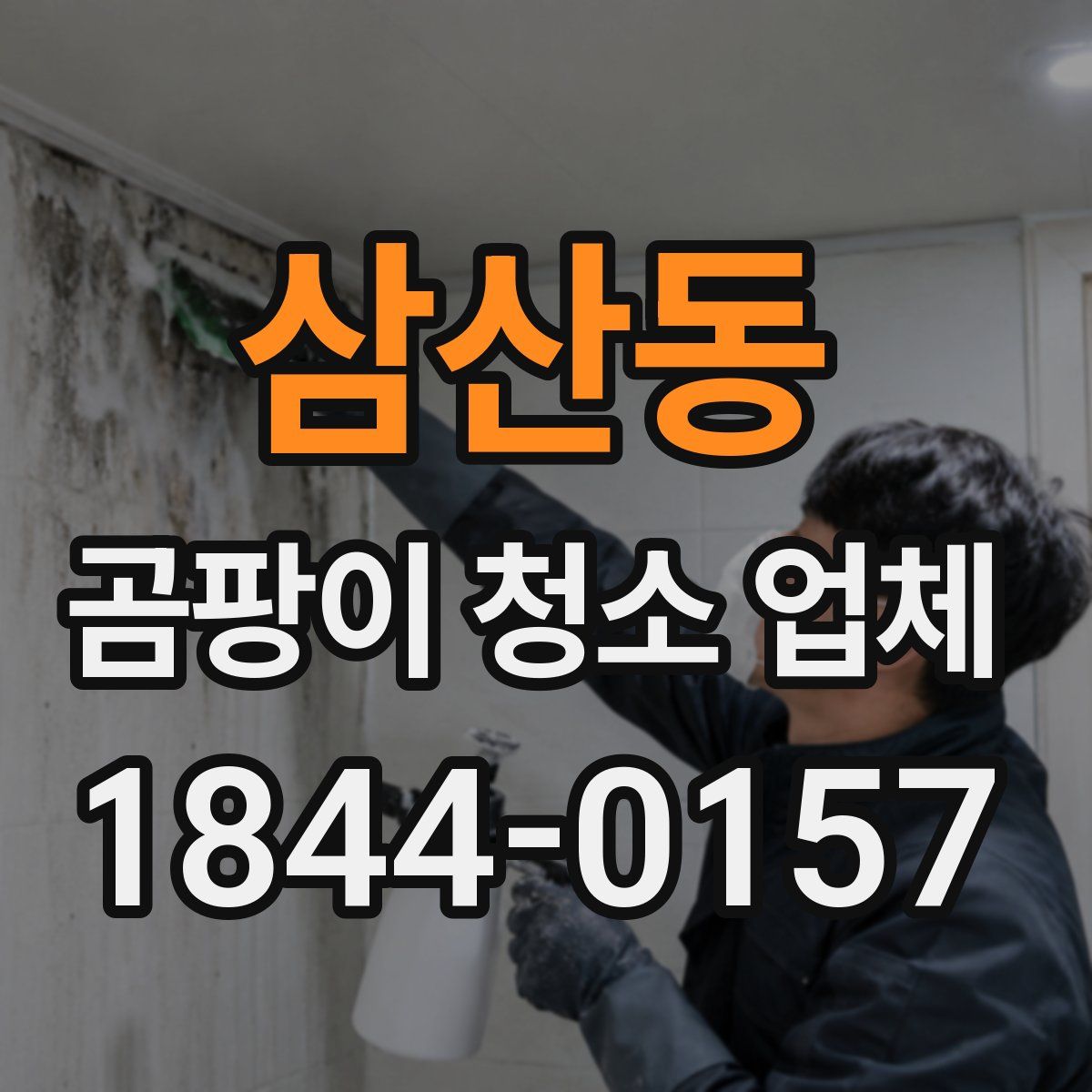 삼산동 곰팡이 청소 업체