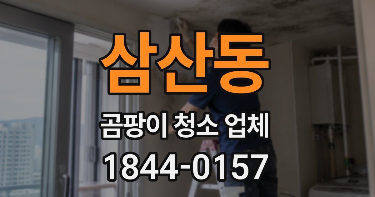 삼산동 곰팡이 청소 업체