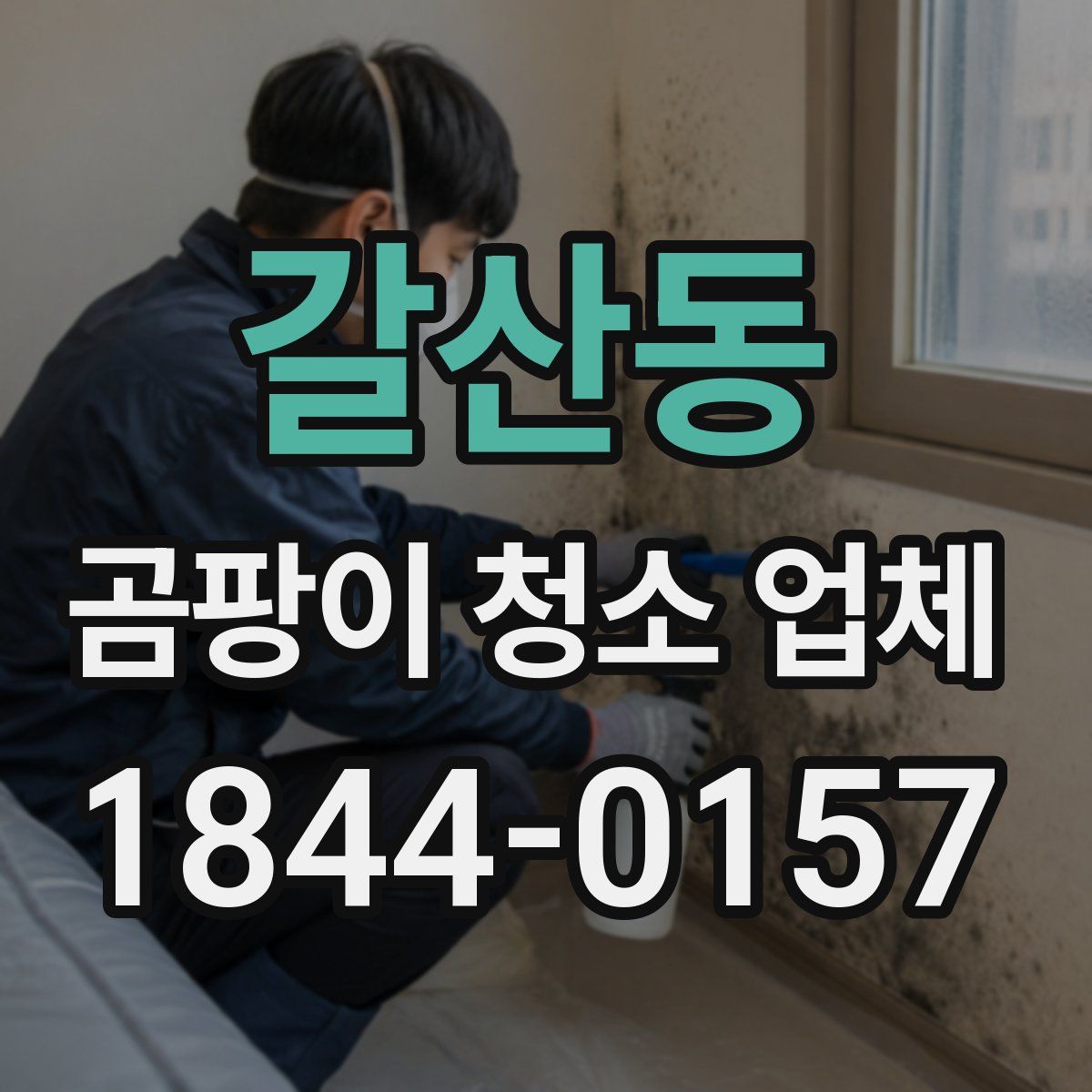 갈산동 곰팡이 청소 업체