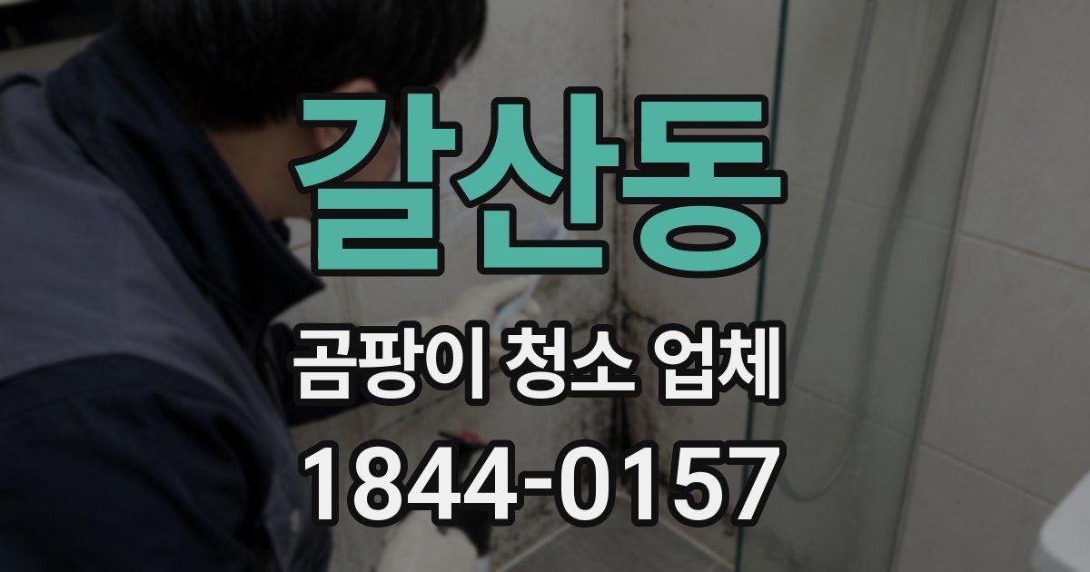 갈산동 곰팡이 청소 업체