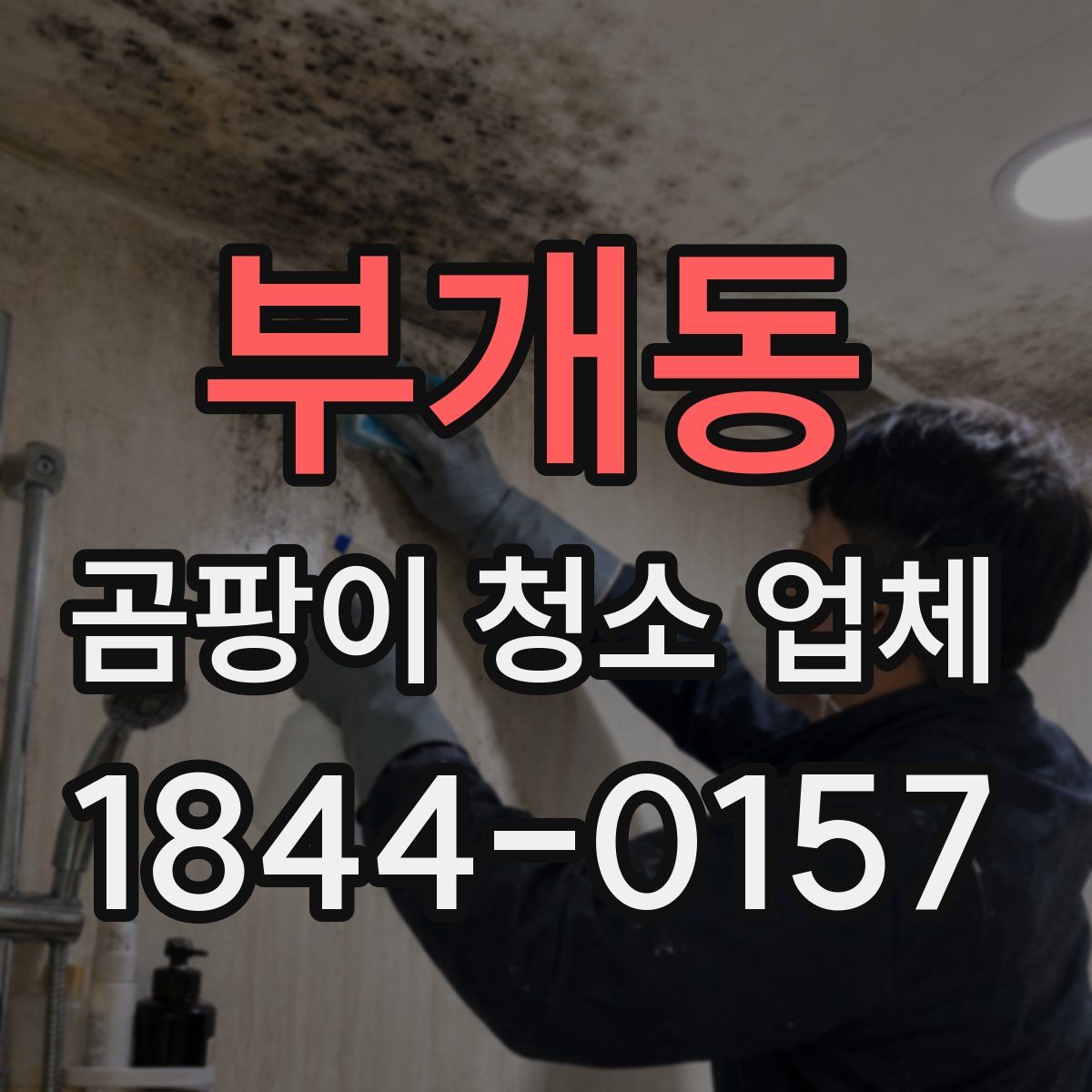부개동 곰팡이 청소 업체
