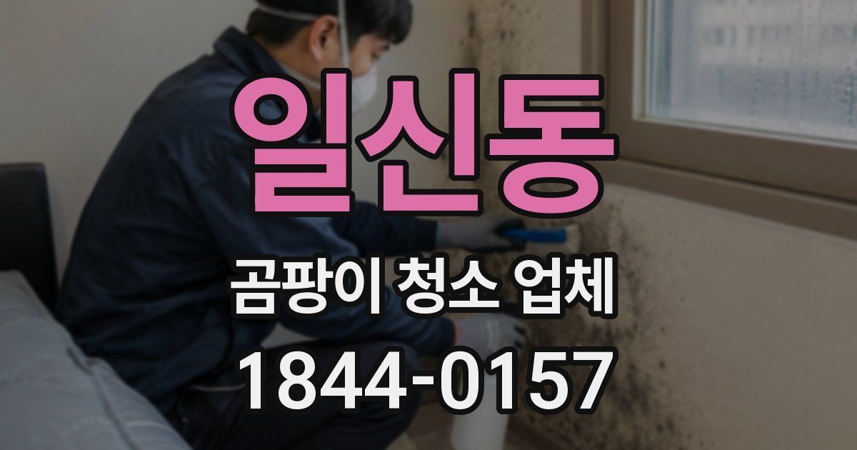 일신동 곰팡이 청소 업체