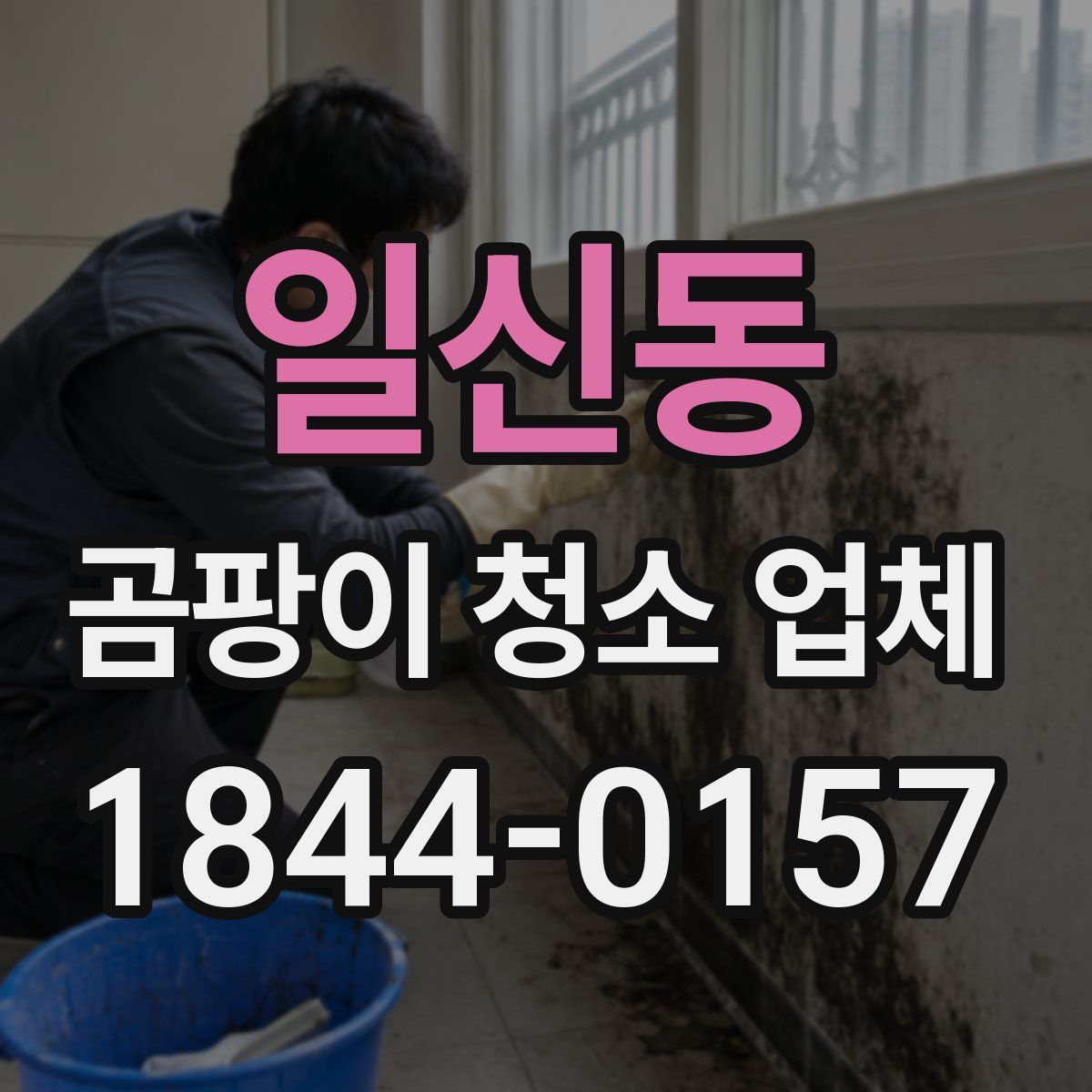 일신동 곰팡이 청소 업체