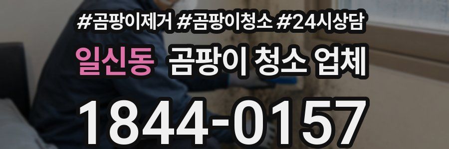 일신동 곰팡이 청소 업체