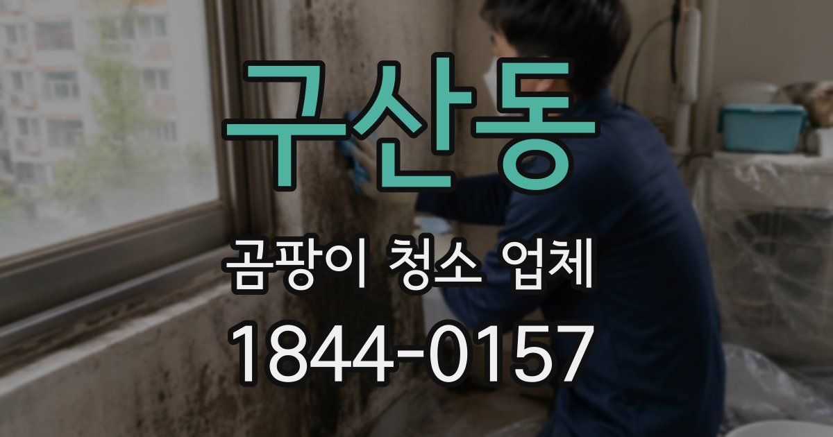 구산동 곰팡이 청소 업체