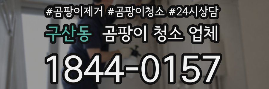 구산동 곰팡이 청소 업체