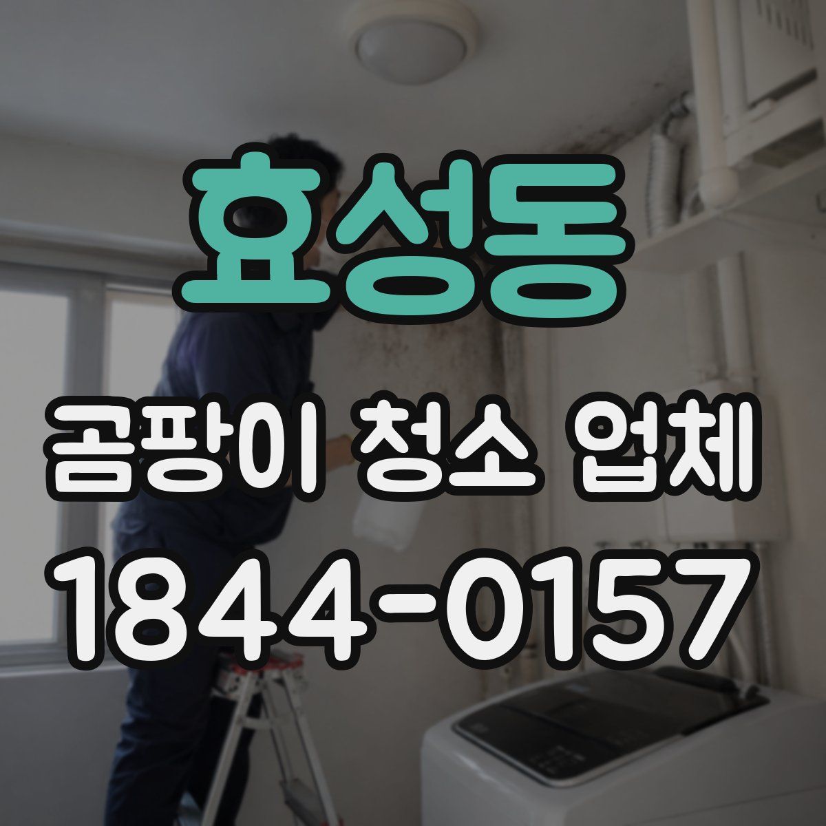 효성동 곰팡이 청소 업체