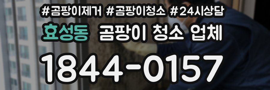 효성동 곰팡이 청소 업체