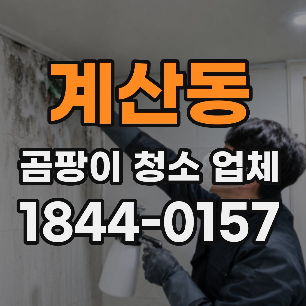 계산동 곰팡이 청소 업체