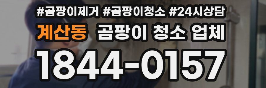 계산동 곰팡이 청소 업체