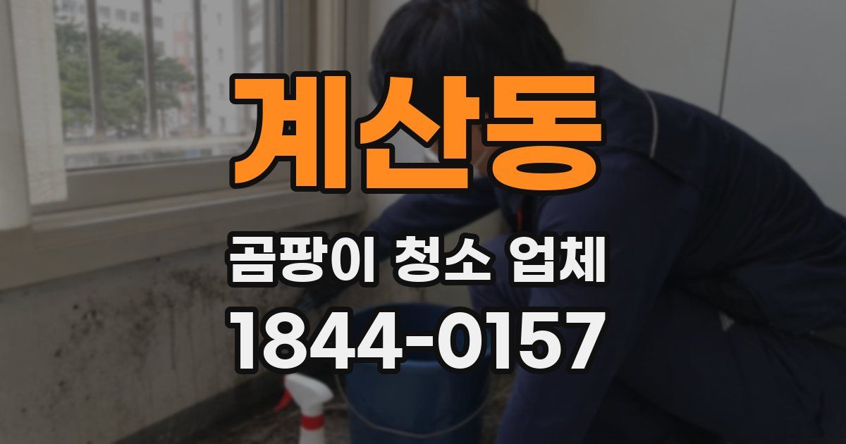 계산동 곰팡이 청소 업체