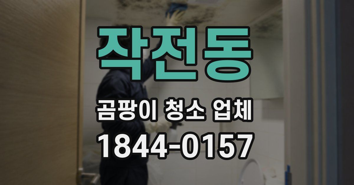 작전동 곰팡이 청소 업체