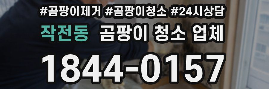 작전동 곰팡이 청소 업체
