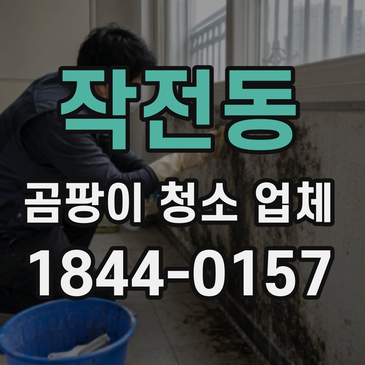 작전동 곰팡이 청소 업체