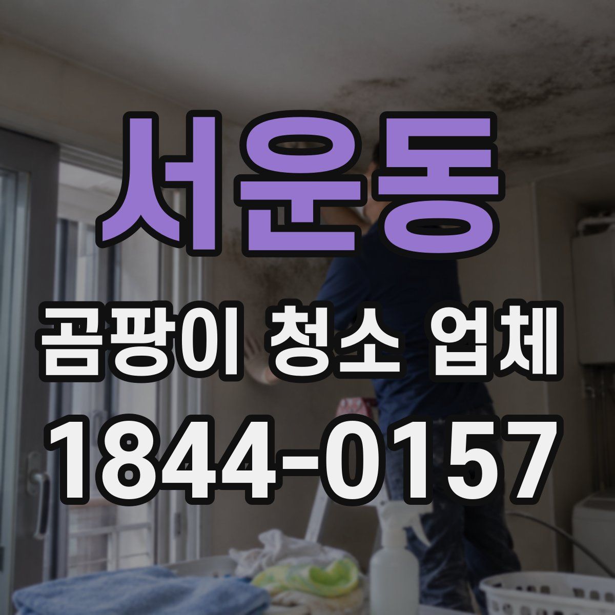 서운동 곰팡이 청소 업체