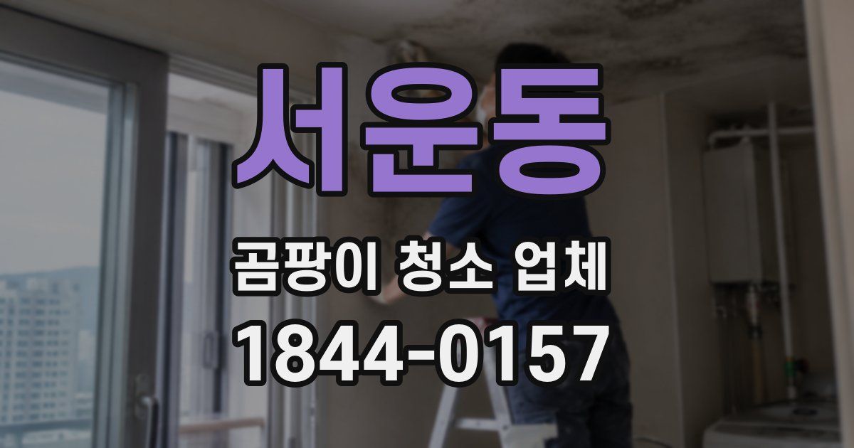 서운동 곰팡이 청소 업체