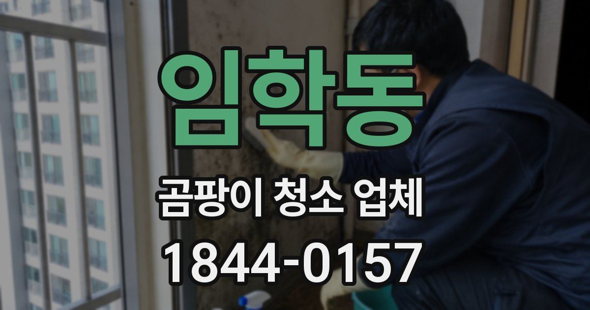 임학동 곰팡이 청소 업체