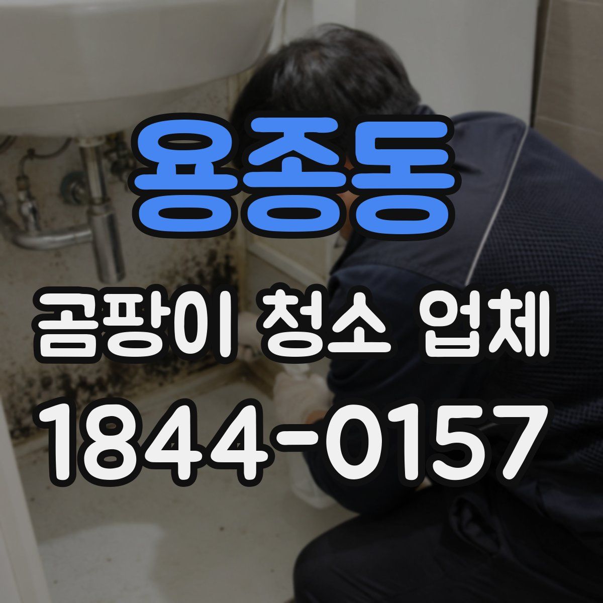 용종동 곰팡이 청소 업체