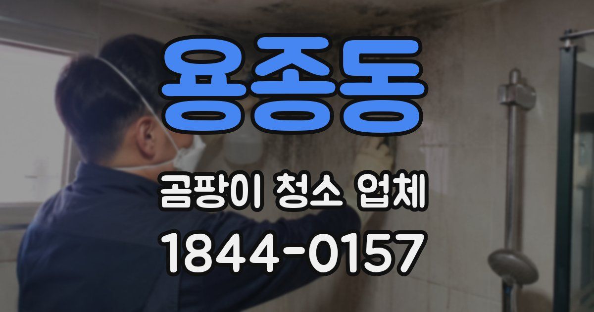용종동 곰팡이 청소 업체
