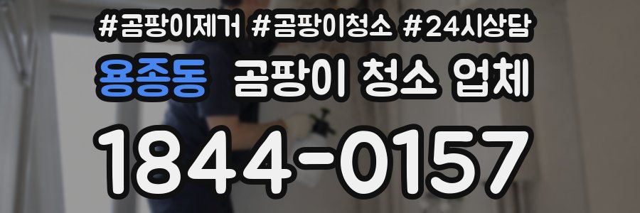 용종동 곰팡이 청소 업체