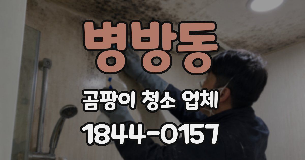 병방동 곰팡이 청소 업체