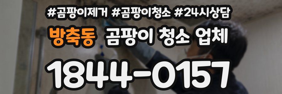 방축동 곰팡이 청소 업체
