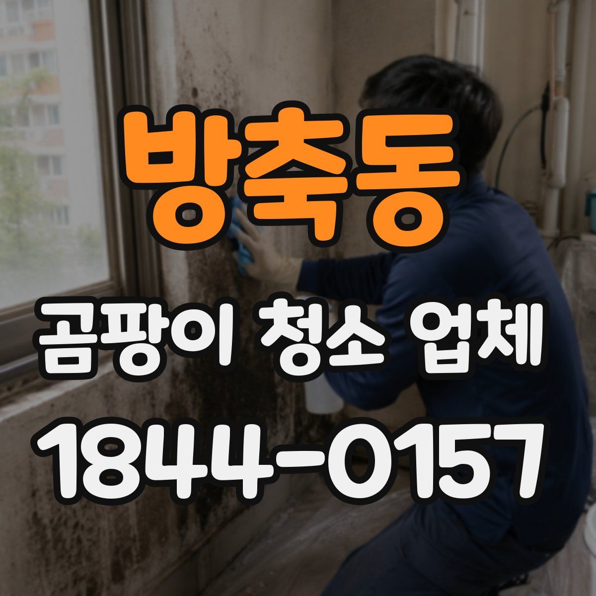 방축동 곰팡이 청소 업체