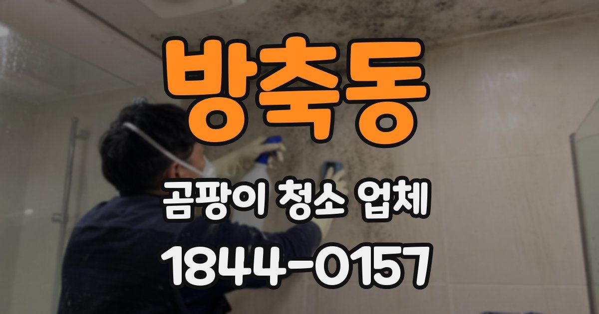 방축동 곰팡이 청소 업체