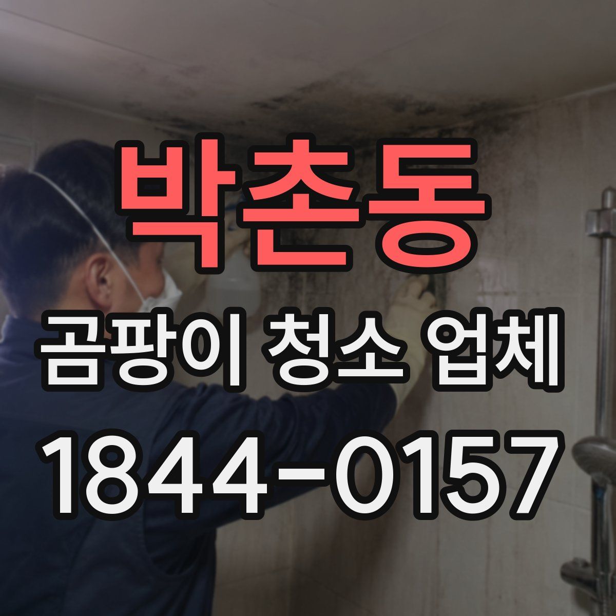 박촌동 곰팡이 청소 업체