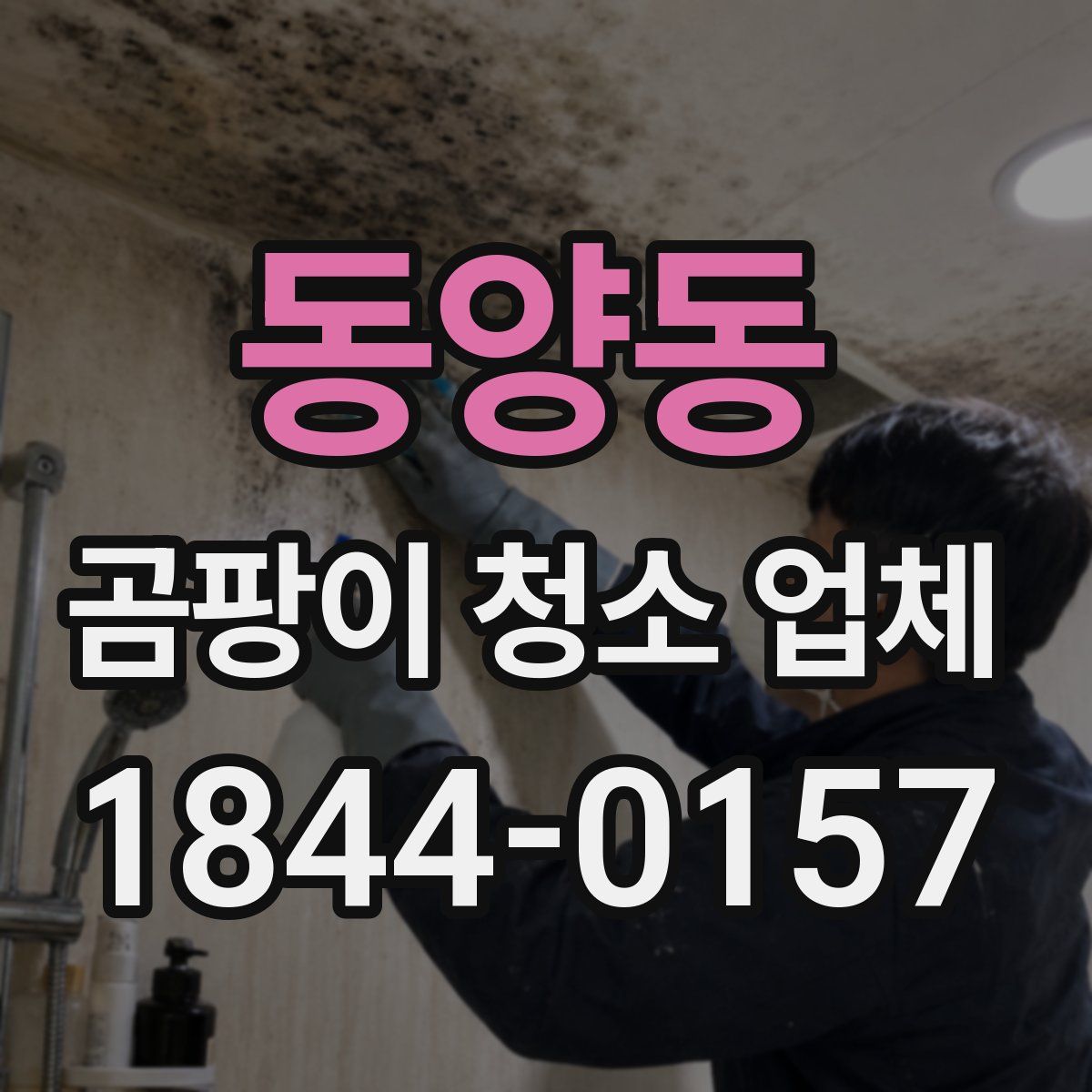 동양동 곰팡이 청소 업체