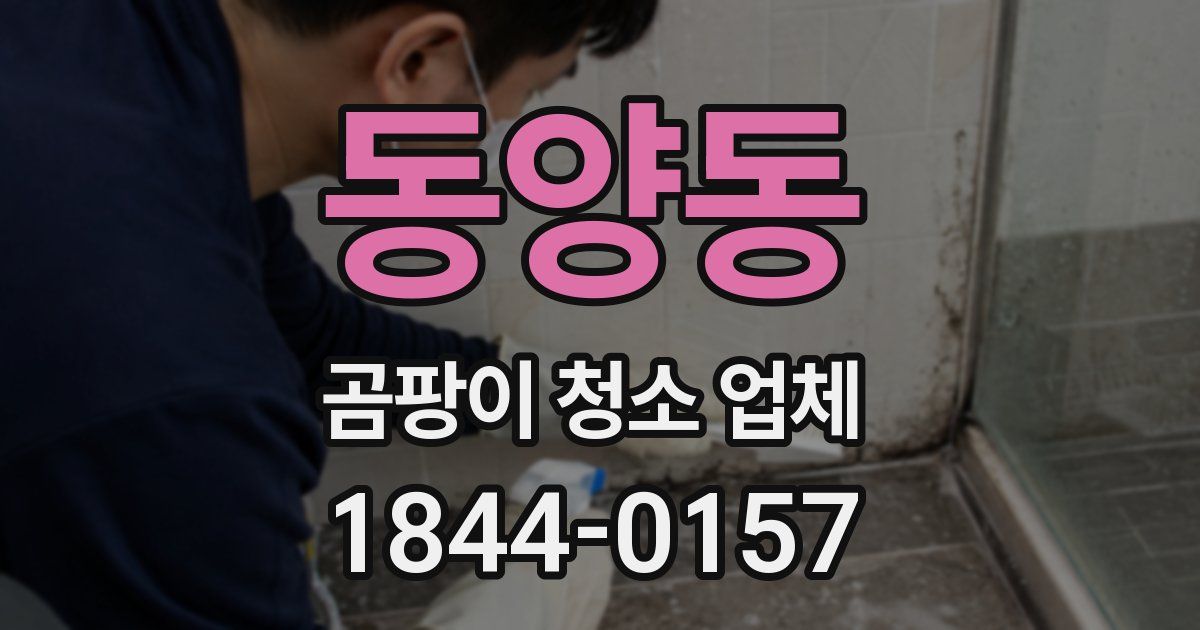 동양동 곰팡이 청소 업체