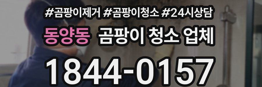 동양동 곰팡이 청소 업체