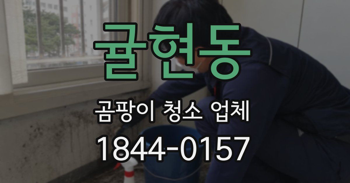 귤현동 곰팡이 청소 업체