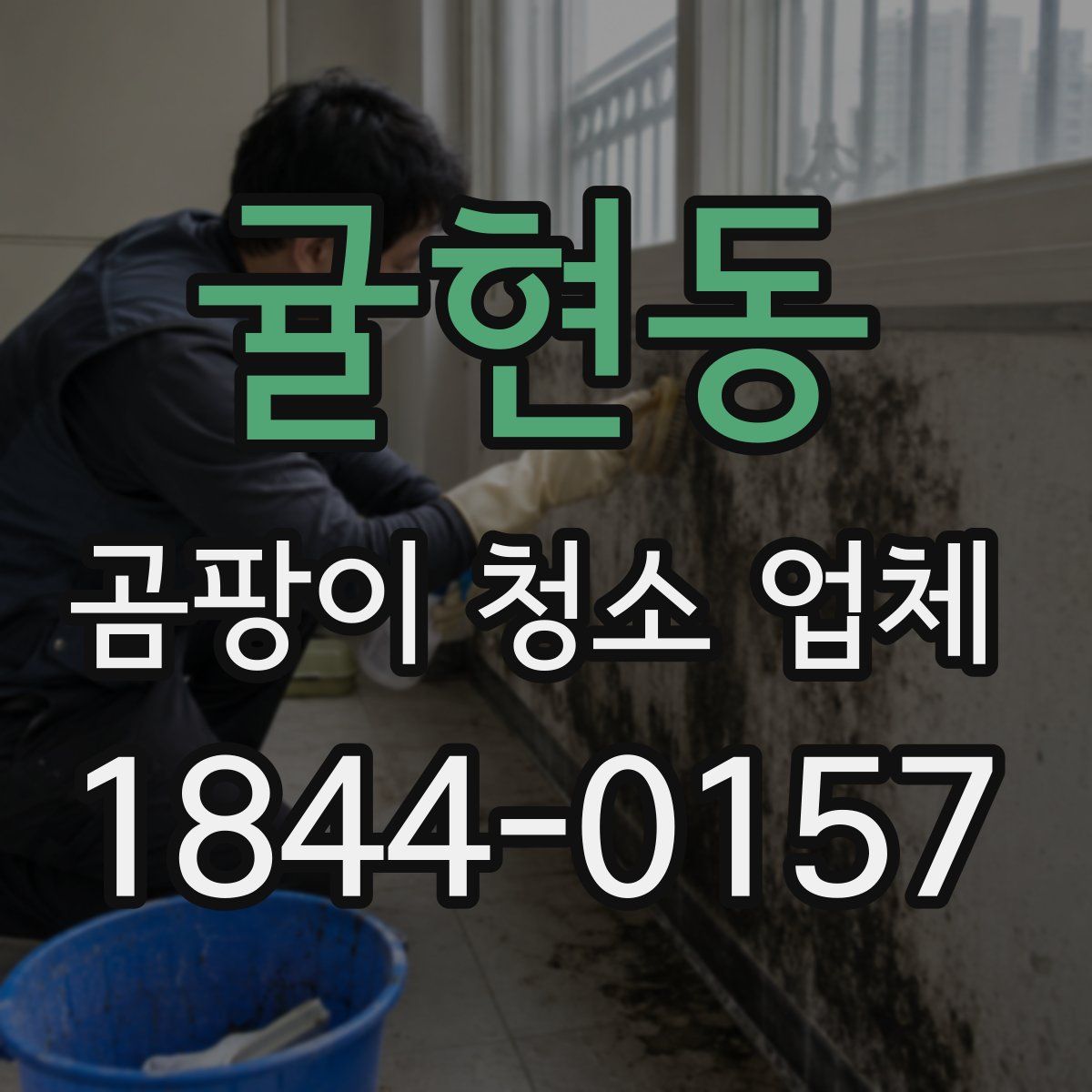 귤현동 곰팡이 청소 업체